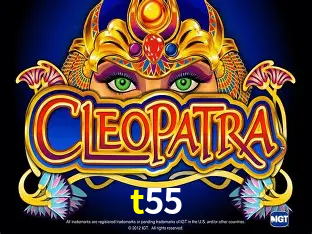 Apostas Esportivas na t55: Um Guia Completo