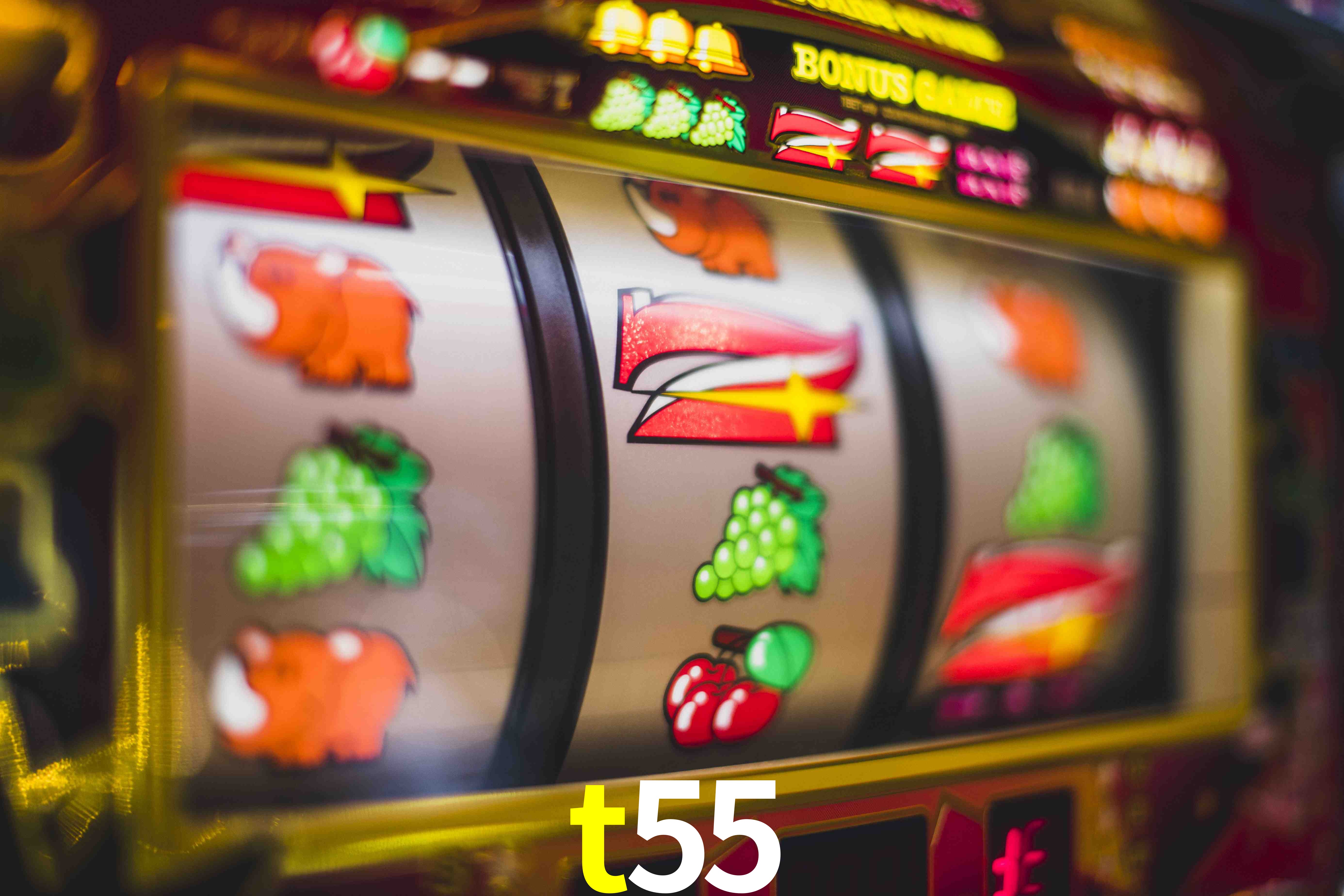 Football Betting t55